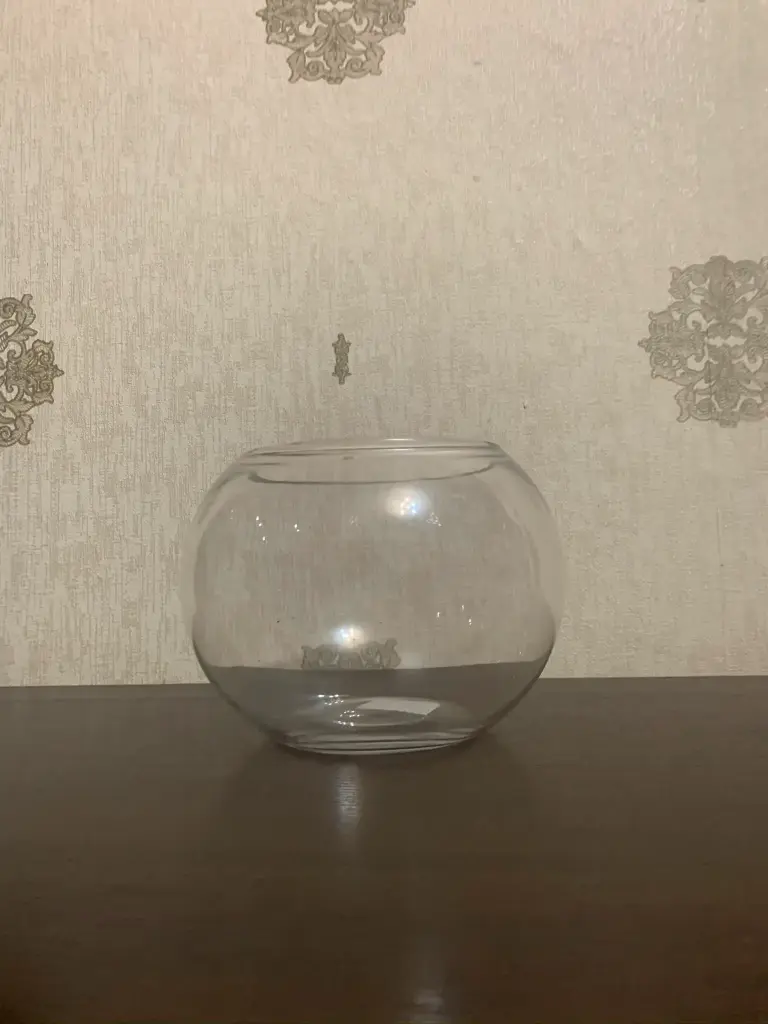 Fish Bowl