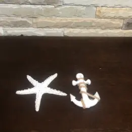 [Stars & Anchors] Stars & Anchors
