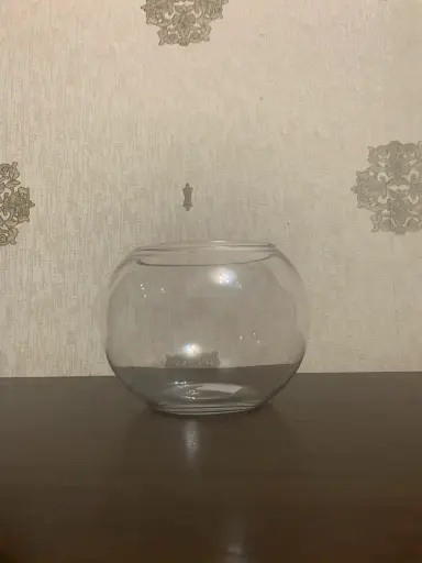 [Fish Bowl] Fish Bowl